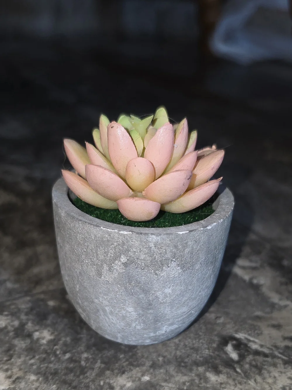 Artificial Pink & Yellow Succulent In Mini Gray Cement Planter BNIB